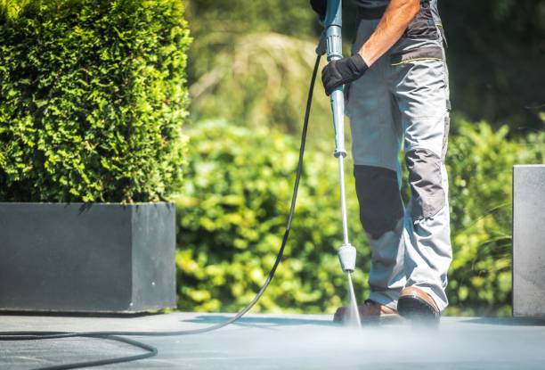 Best Sidewalk and Walkway Cleaning  in Canonsburg, PA